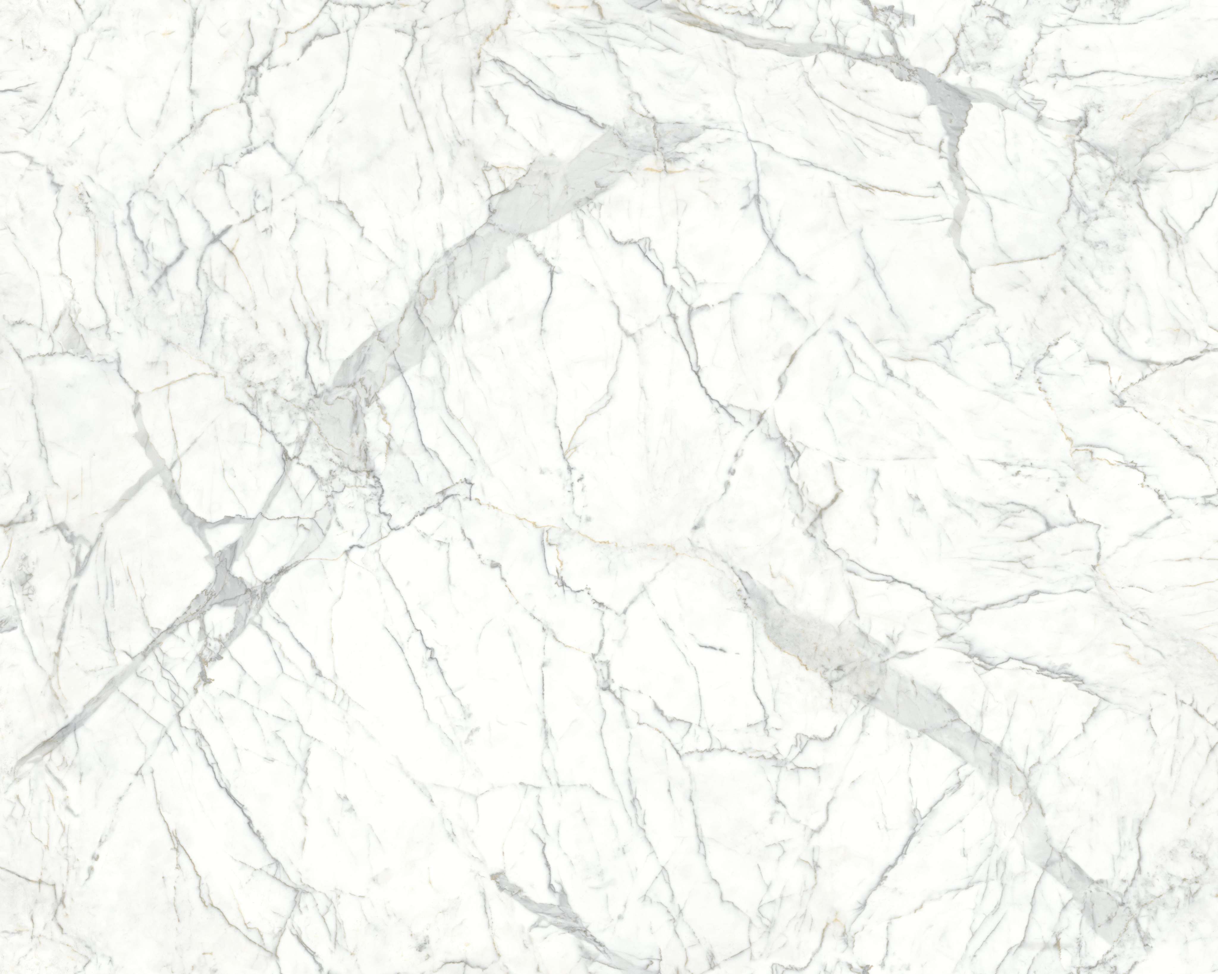 Calcutta Marble